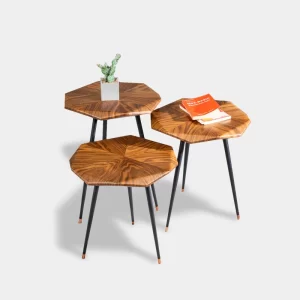 Polygon Nesting Tables