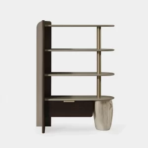 Tarra Stone Bookshelf
